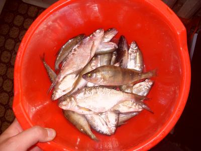 Прикрепленное изображение: SDC14142.JPG